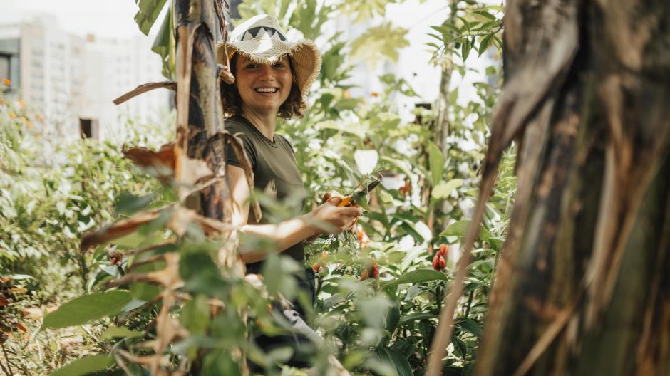 jardin jardinage nature plantes