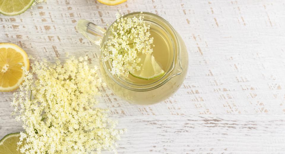 Cuisiner Avec Des Fleurs De Sureau Cuisine Et Recettes