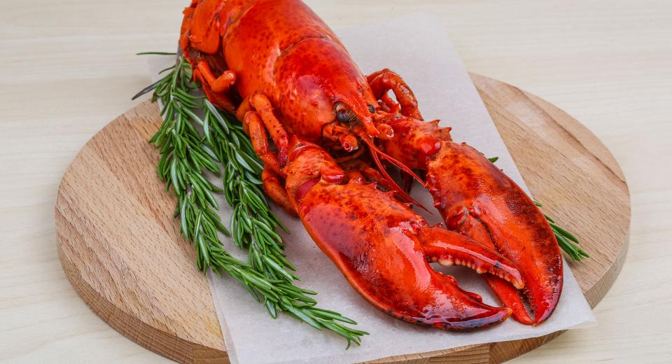 Comment choisir et préparer du homard? - Cuisine et Recettes - Recette ...