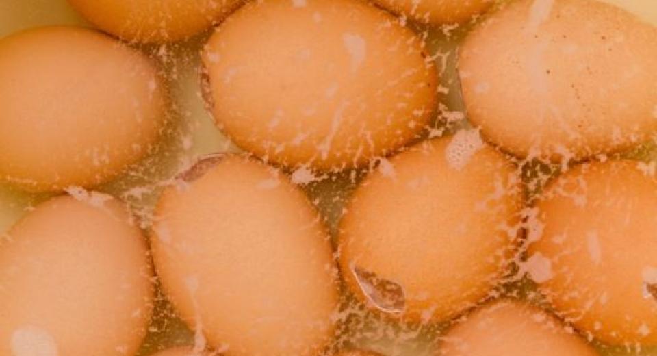 Zo bak je heerlijke cakejes in eierschalen voor Pasen