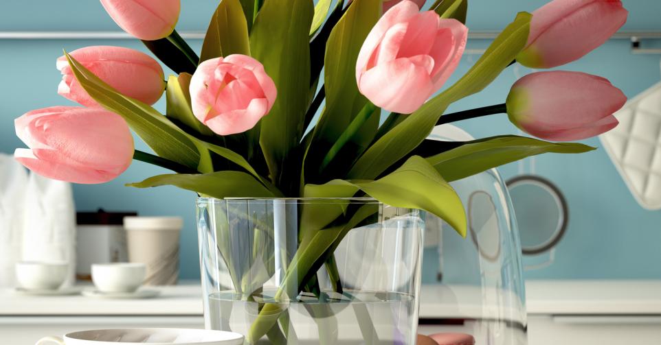 drinken Gematigd links 7 tips voor prachtige bloemen in huis