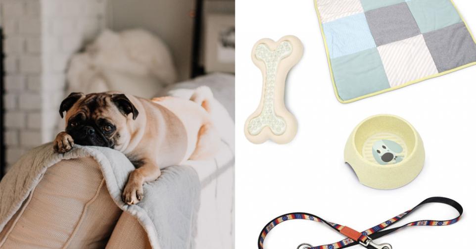 SHOPPEN: 11 accessoires voor je hond die hem doen kwispelen
