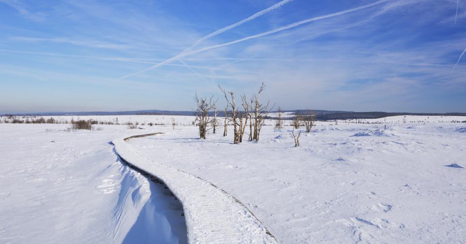 Neige - Belgique