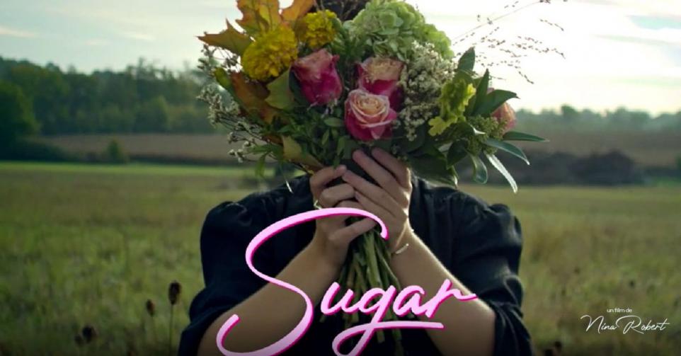 Sugar - ©Sugar