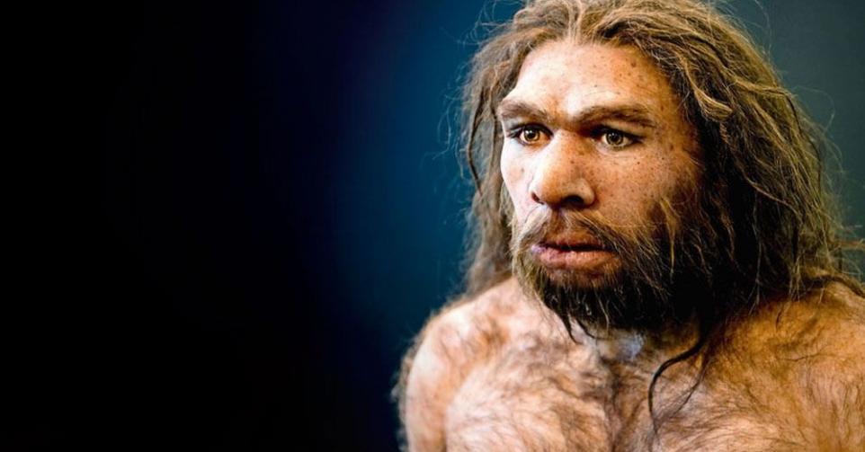 Une nouvelle espèce d'homme préhistorique plus proche de nous que Néandertal