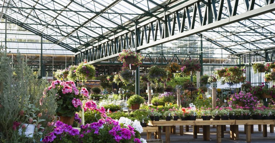 Pop-up plantes - ©Getty