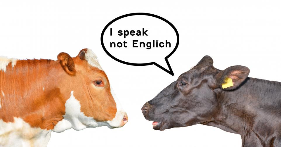 parler anglais comme une vache espagnole