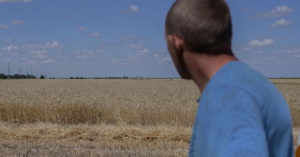 blé ukraine