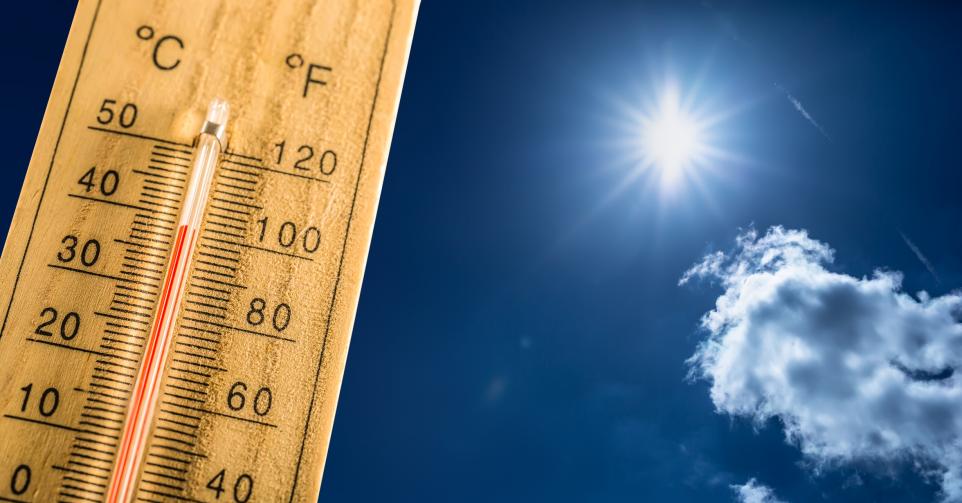 épisodes canicule