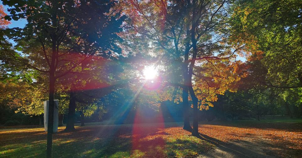 automne chaud chaleur