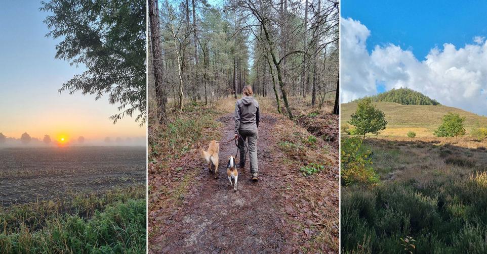 lange wandelingen