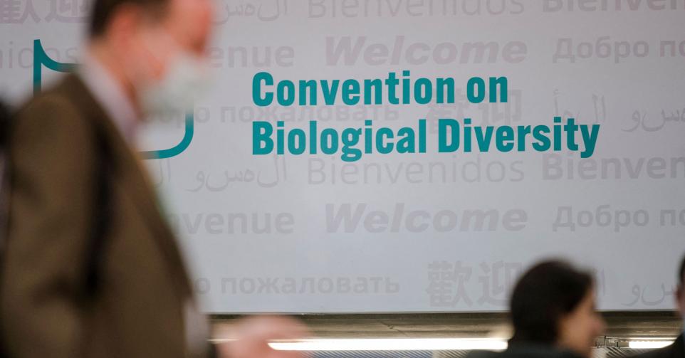 Cop 15 biodiversité