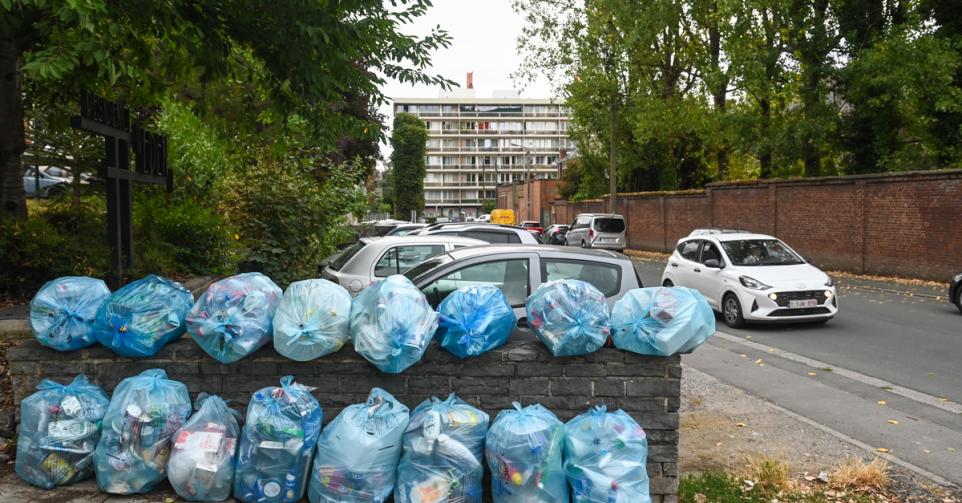 poubelles bleues