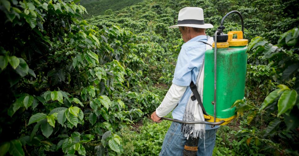 La Belgique exporte des tonnes de pesticides nocifs interdits en Europe