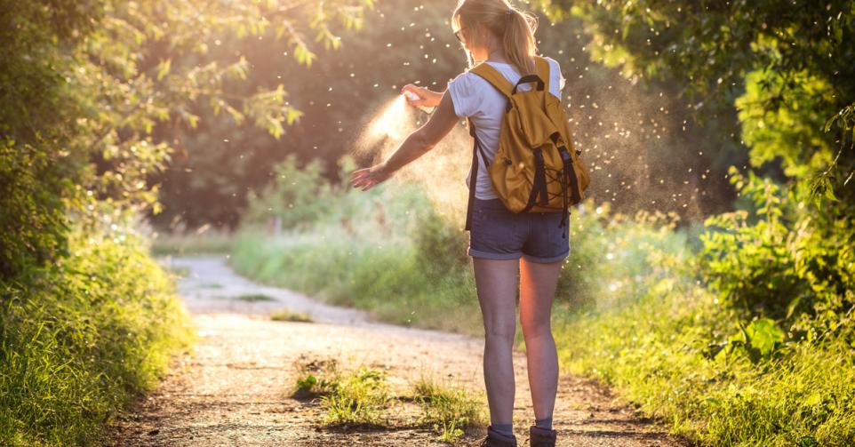 L’encéphalite à tiques, l’infection du randonneur susceptible d’entraîner une méningite