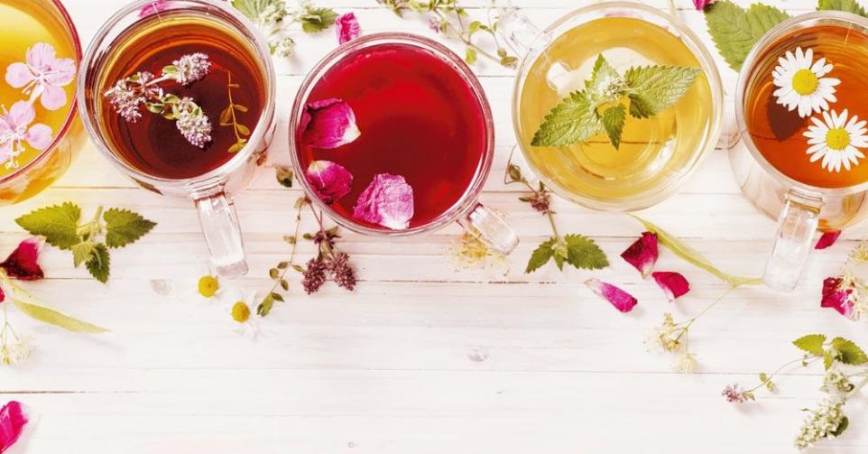Différences entre tisane, thé et infusion