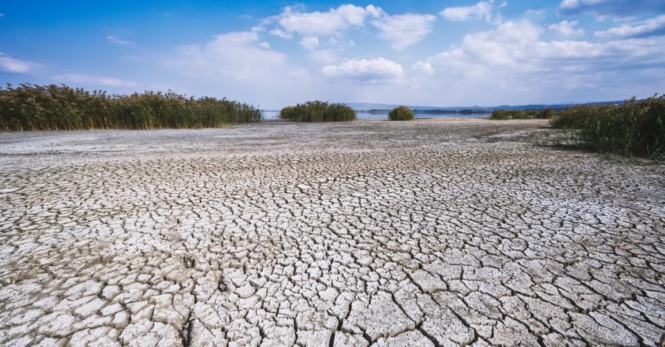 réchauffement climatique