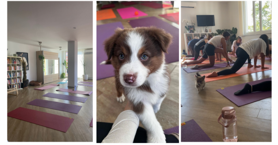 Puppy Yoga