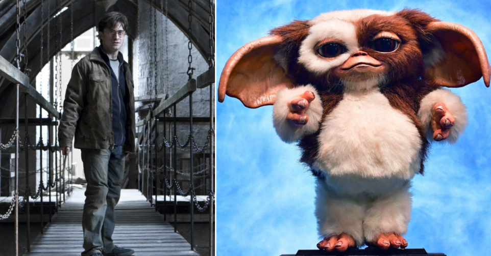 Harry Potter ou Gremlins - Montage Flair