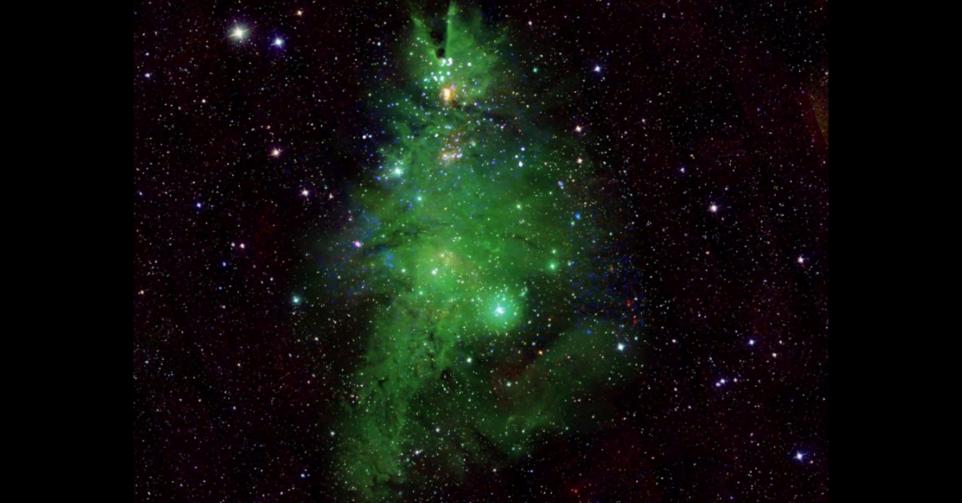 Une combinaison d'images de jeunes étoiles formant un sapin de Noël stellaire.