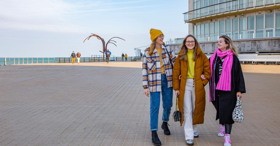 nieuwjaarsduik oostende