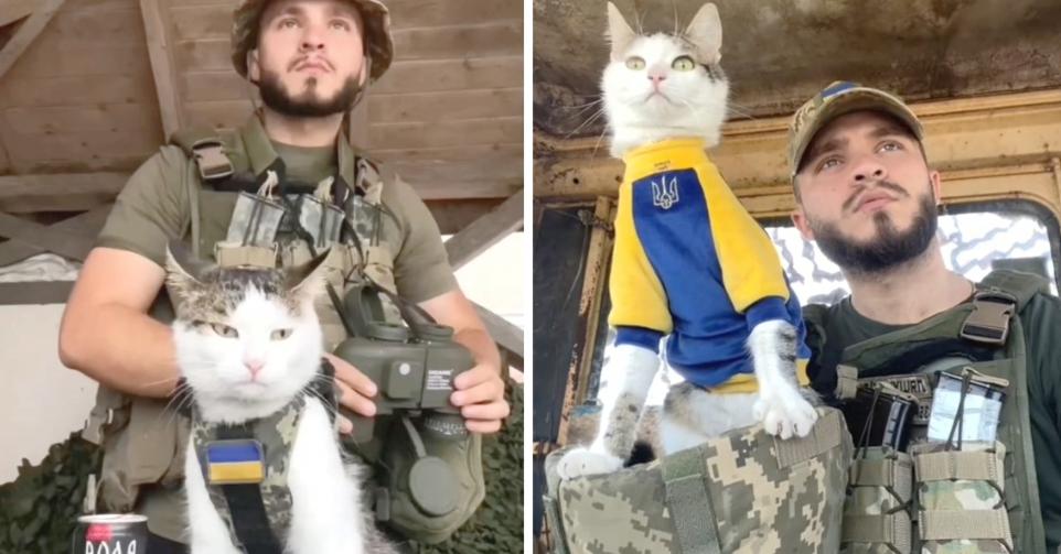 Puck, le chat-soldat qui réconforte les troupes ukrainiennes.