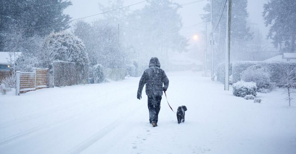 Chutes de neige exceptionnelle, ce mercredi, en Belgique.