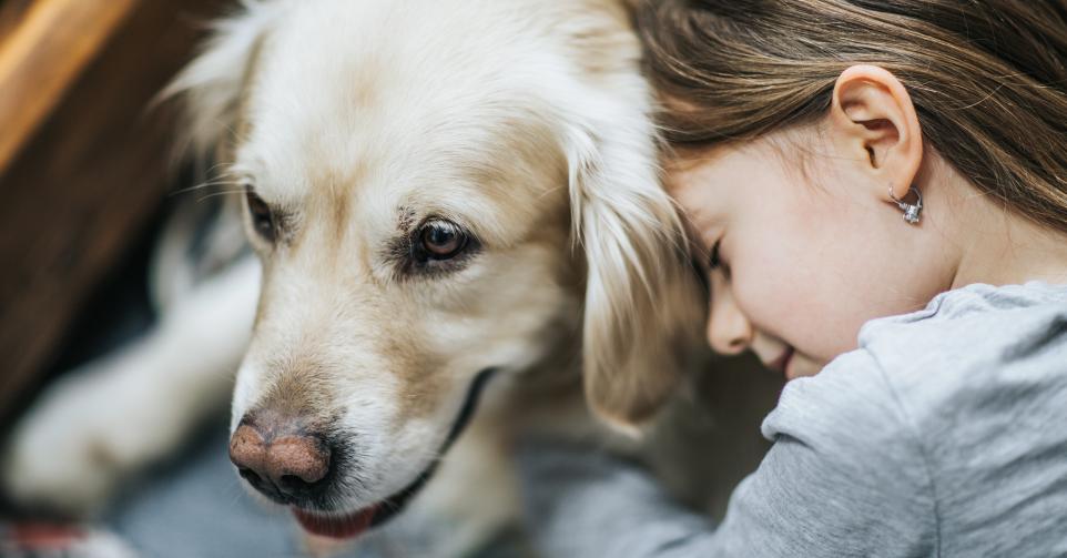 MJ, une golden retriever, a rejoint les rangs de la police de Liège.