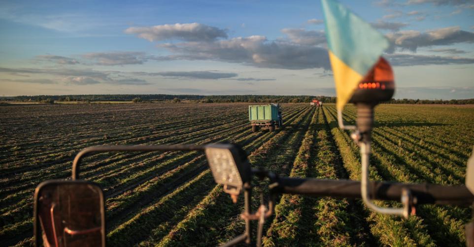 un champs avec un drapeau de l'Ukraine