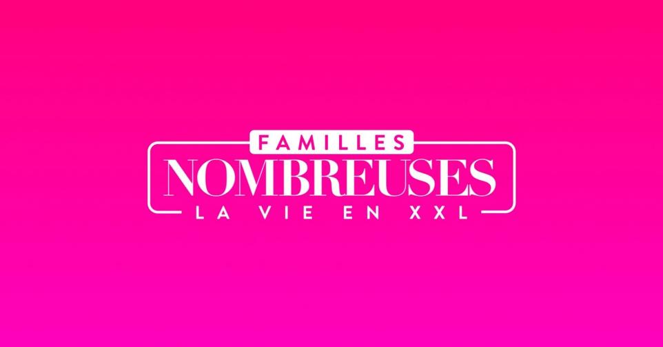 Familles Nombreuses La Vie En Xxl T L Pro