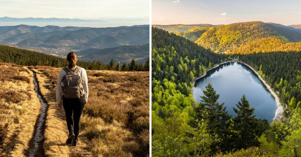 Activités à faire dans les Vosges.