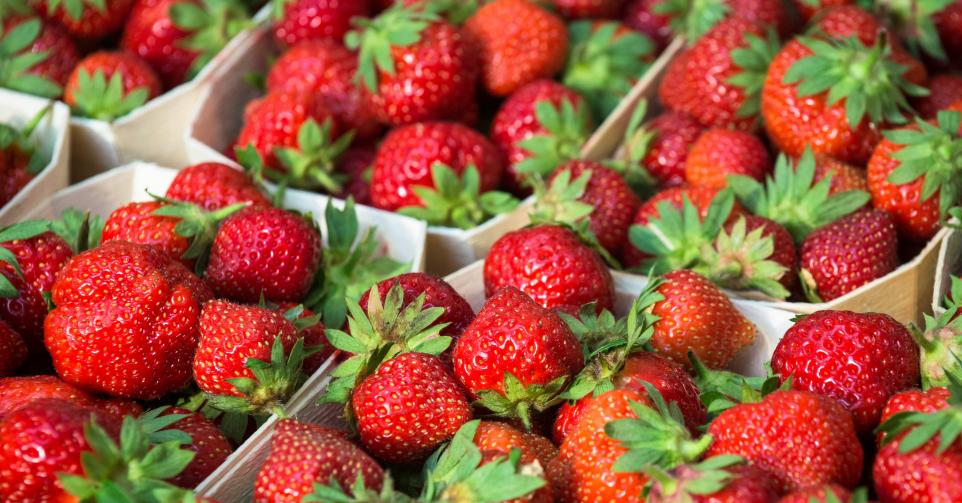 Comment reconnaître les bonnes fraises?