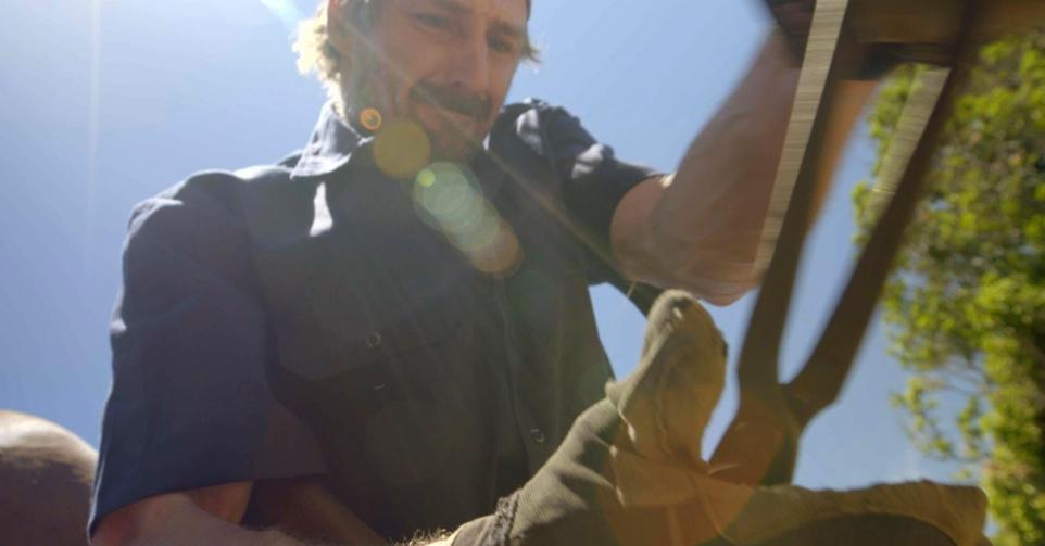 Les aventures du Dr Buckeye Bottoms Télépro