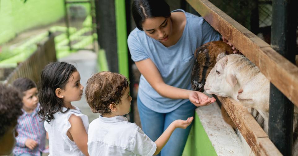 Bien-être animal école