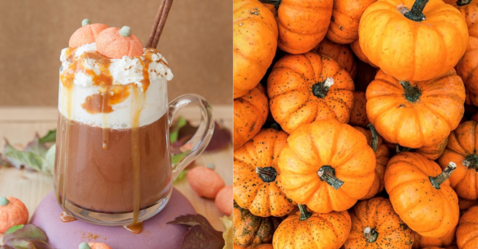 Chocolat chaud citrouille - Getty