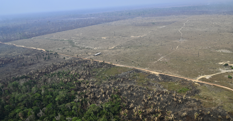 Déforestation en Amazonie