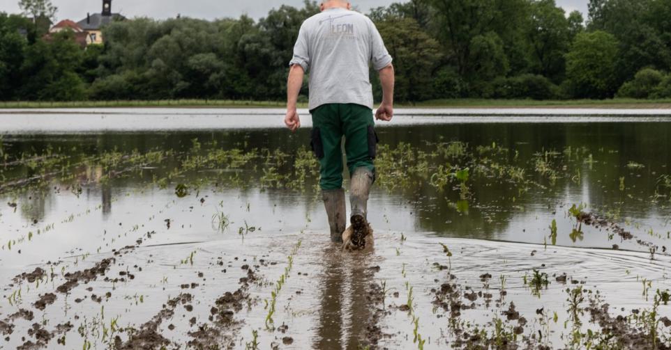 Producteurs belges pluie 2024