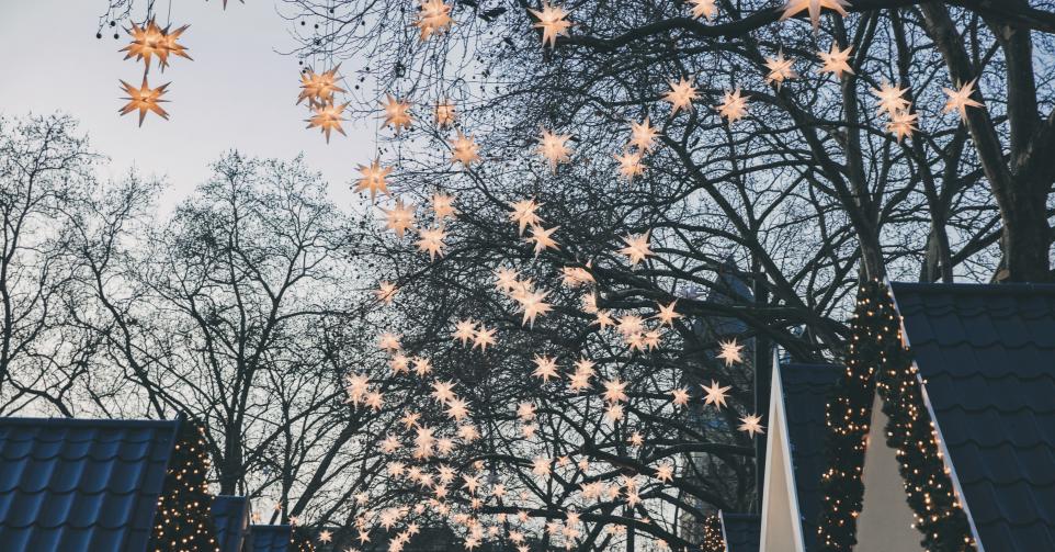 Decoration of paper stars on trees over roofs of the Christmas Market during dusk, Cologne, NRW, Germany