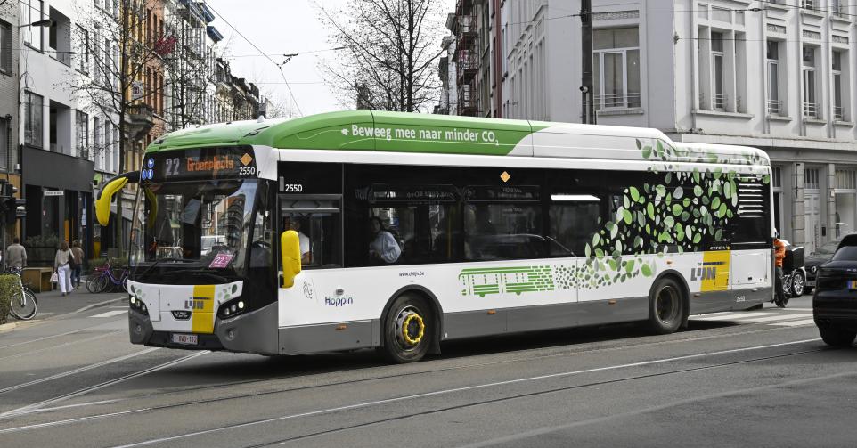 anvers bus