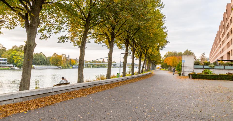 Maastricht, Holland - October 16, 2021: Buildings along Avenue Ceramique, the main street of the Ceramic district of the Dutch city of Maastricht.