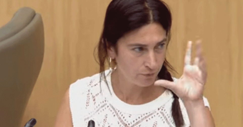 Zuhal Demir (N-VA) zegt 'zot' in het Vlaams Parlement