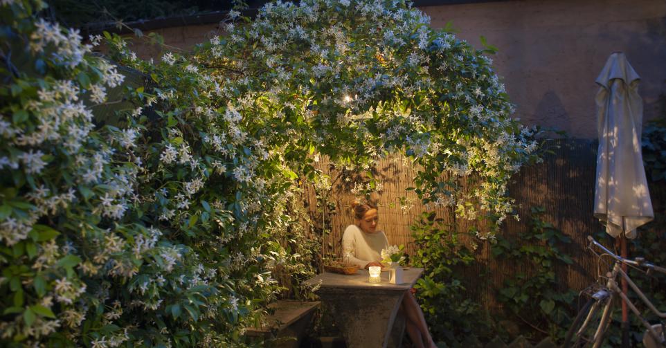 Woman sitting under star jasmine pergola at dusk, enjoying her book and glass of wine