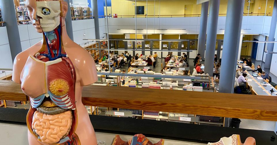 Concours médecine payant