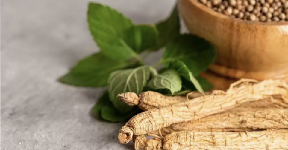 L'ashwagandha, cette plante aux nombreux bienfaits de plus en plus populaire en Europe