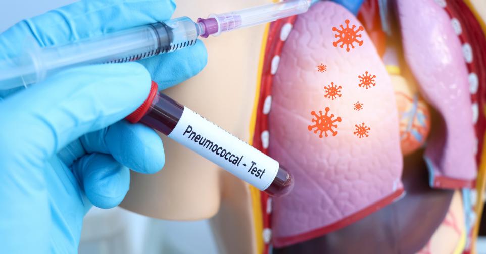 maladie pneumococcique