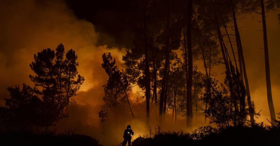 hectares incendies Europe
