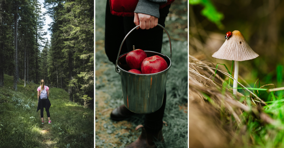 activités automne belgique