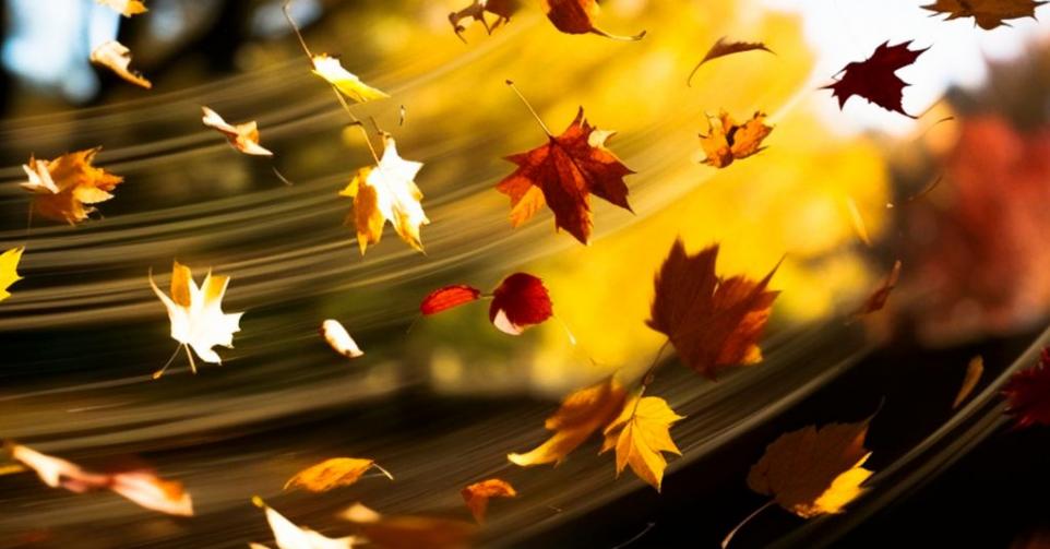 Alles over Macro-beleggen: investeren met de economische wind in de rug. herfst. Blaadjes