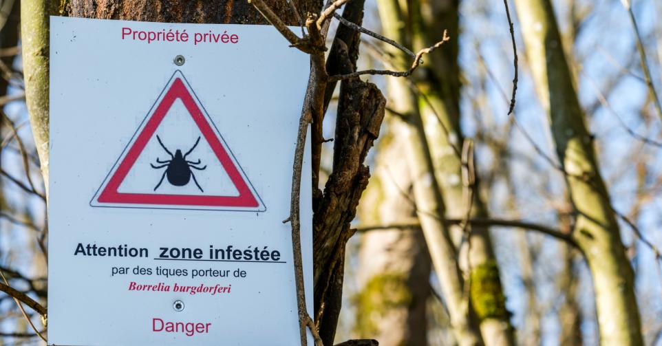 zone infestée de tiques