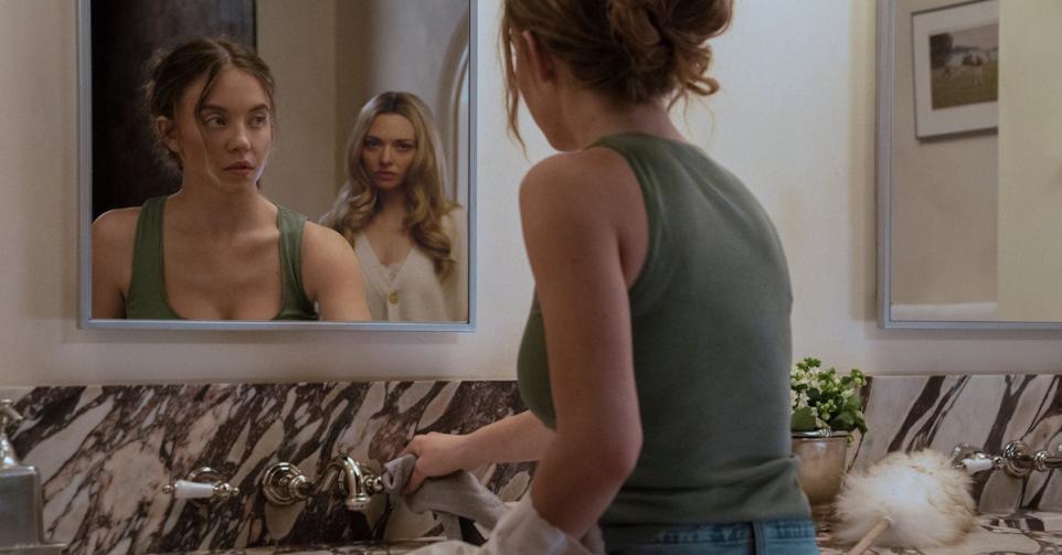 the housemaid